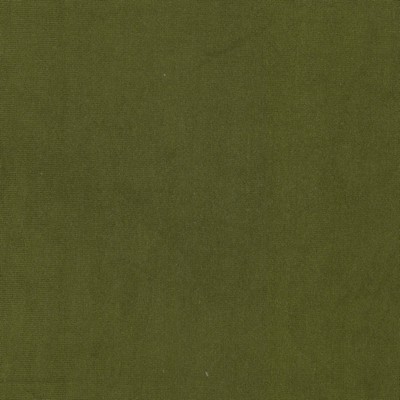 Stout QUEEN 10 OLIVE