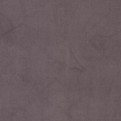 Stout QUEEN 18 LAVENDER