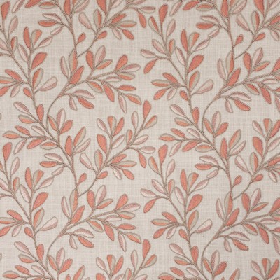 Stout QUINCY 1 TANGERINE