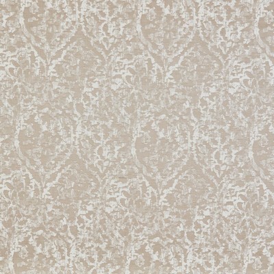 Stout RANIER MUSHROOM