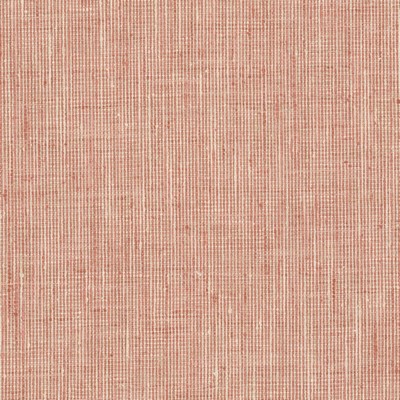 Stout REMBRANDT PEACH