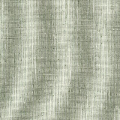 Stout REMBRANDT SAGE