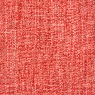 Stout RENZO STRAWBERRY