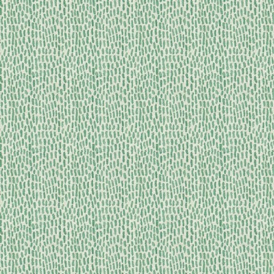 Stout REYNOLDS SEEDLING