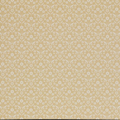 Stout RINGSBORO DAISY