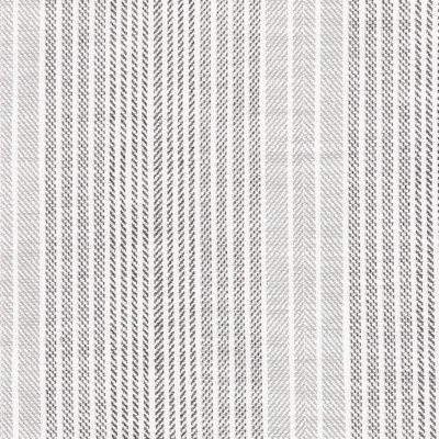 Stout RUELLA 2 GRAPHITE