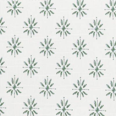 Stout SALZBERG 1 FERN