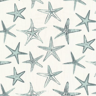 Stout SEAGATE 1 TEAL