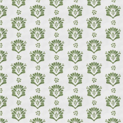 Stout SERENADE 1 GRASS