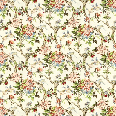 Stout SHELTON TIGERLILY