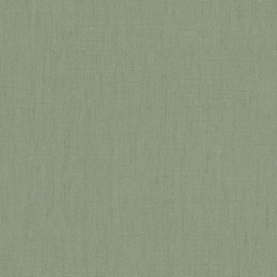 Stout SHOUT 2 BALSAM