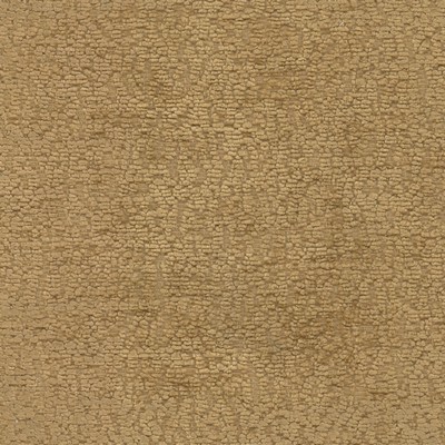 Stout SLATER 1 HARVEST