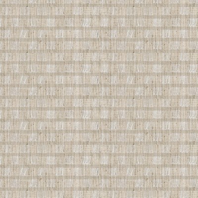 Stout SPAIN 1 DESERT