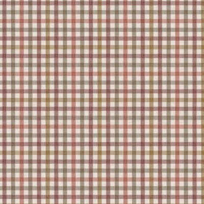 Stout STAMPEDE 1 SIENNA