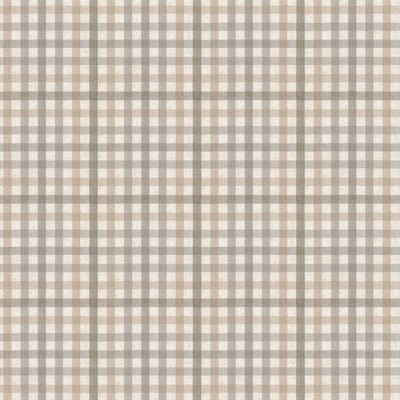 Stout STAMPEDE 4 SANDUNE