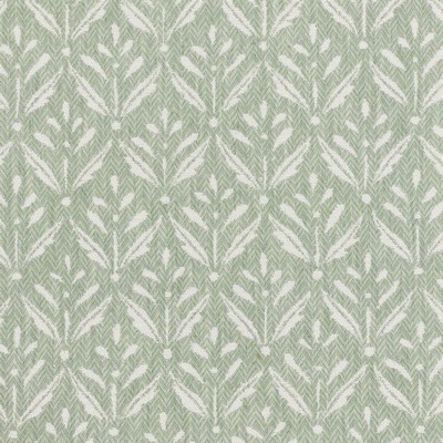 Stout STAPLETON ALOE