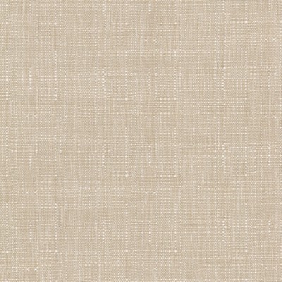 Stout STEPHEN 5 CAMEL