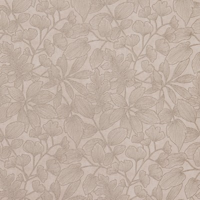 Stout STORRS PLATINUM