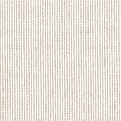 Stout SUGARHILL 1 MUSHROOM