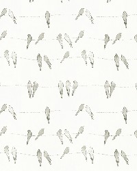 Stout Swallow 1 Dove Fabric
