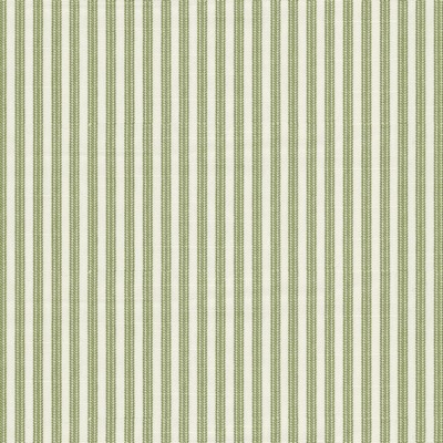 Stout TALKER 1 GRASS