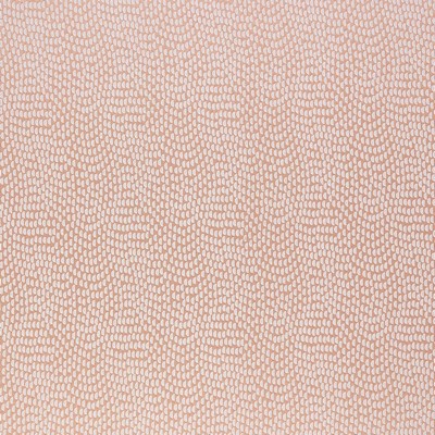 Stout TAMARAC SALMON