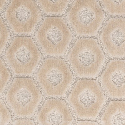 Stout TAMBOURINE 5 CREAM