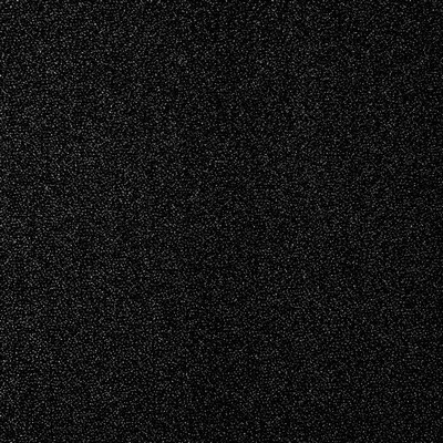 Stout TAPDANCE RAVEN