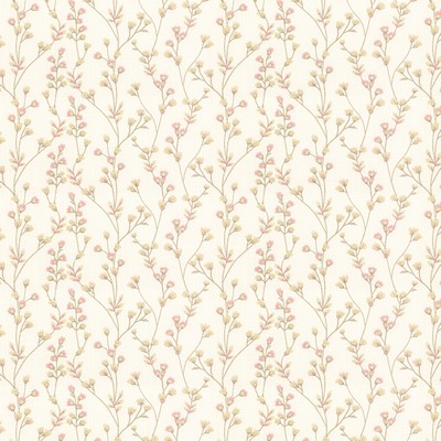 Stout TAVERN TEAROSE