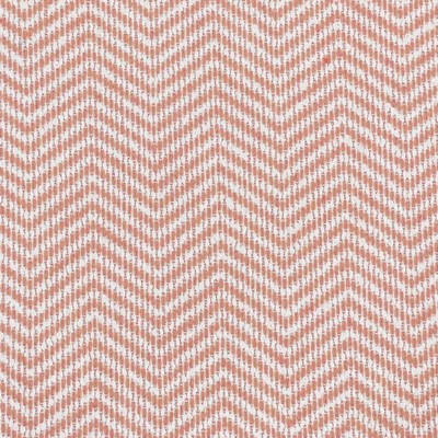 Stout TAYLOR 1 HIBISCUS