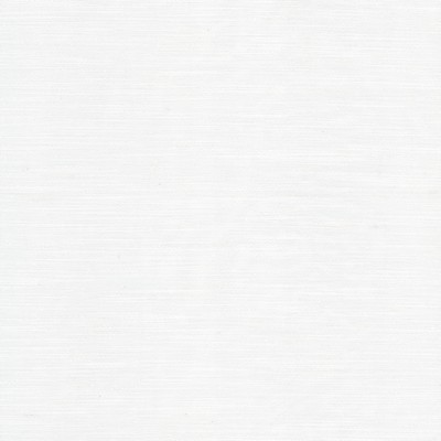 Stout TEDWILL 2 IVORY