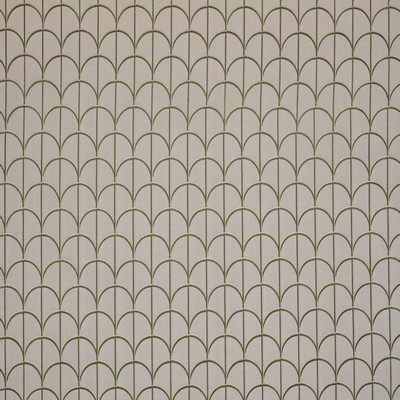 Stout TELEGRAM SPRING