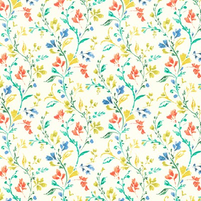 Stout TIARA CARIBBEAN