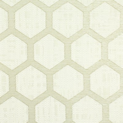 Stout TIBBLE 1 BAMBOO