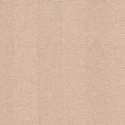 Stout TIBURON 1 GINGER