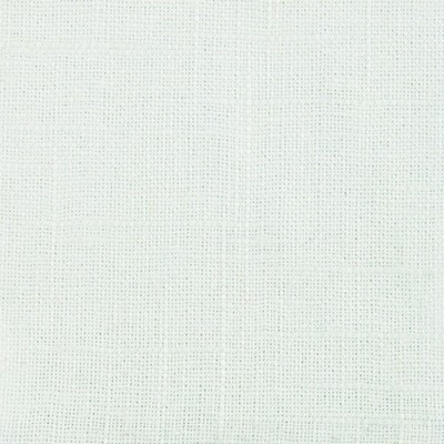 Stout TICONDEROGA ASH