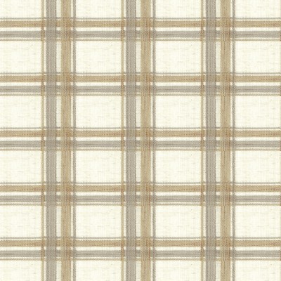 Stout TIDES 4 GINGER