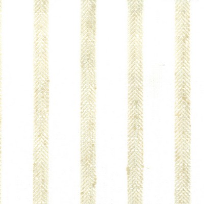 Stout TIMOTHY 1 TOAST