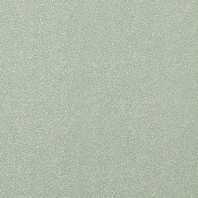 Stout TORRINGTON CELADON