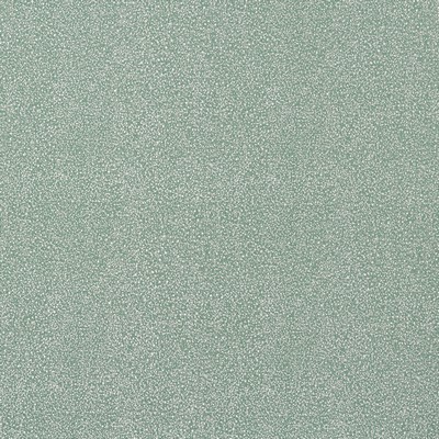 Stout TORRINGTON 2 SPA