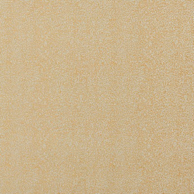 Stout TORRINGTON MARIGOLD