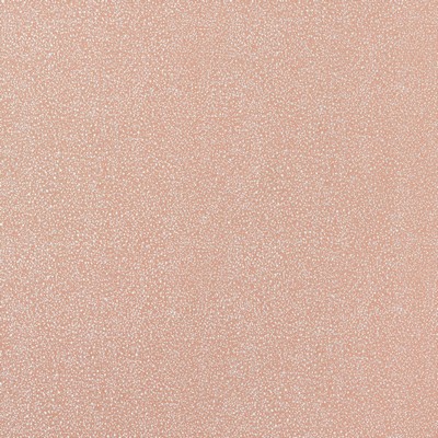 Stout TORRINGTON PRIMROSE