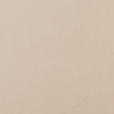 Stout TORRINGTON BISQUE