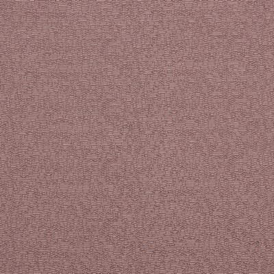 Stout TOWERS TEAROSE