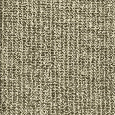 Stout TREETOP NICKEL