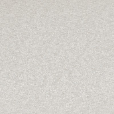 Stout TRIBUTE 1 BISCUIT