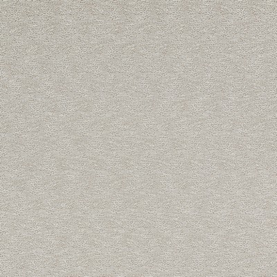 Stout TRIBUTE 2 TAWNY