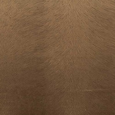 Stout TRIFECTA CAPPUCCINO