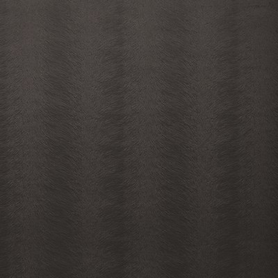 Stout TRIFECTA CARBON