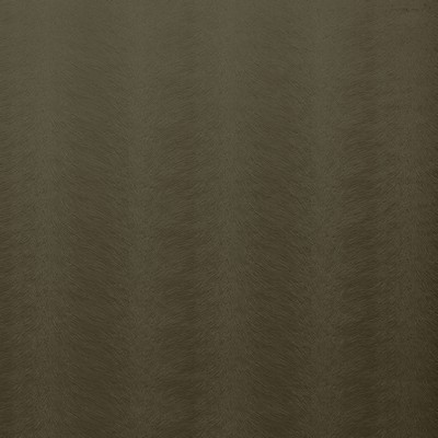 Stout TRIFECTA PISTACHIO